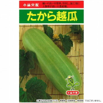 Other - 【直送品】小林種苗 シロウリ種子 たから越瓜?　8140　100粒【お寄せ品、返品キャンセル不可。欠品終売時連絡あり】