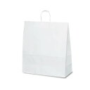 自動紐手提袋 T-15 白無地 1548 50枚【お寄せ品、返品キャンセル不可。欠品終売時連絡あり】