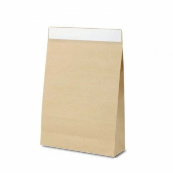 フラップバッグ 宅配袋 茶無地 L 2539 10枚【お寄せ品、返品キャンセル不可。欠品終売時連絡あり】