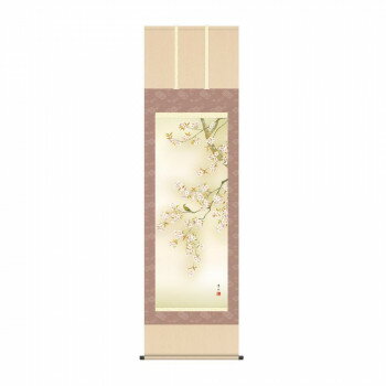 掛軸 緒方葉水 桜花に小鳥 54.5×190cm KZ2A6-33A【お寄せ品、返品キャンセル不可。欠品終売時連絡あり】