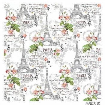 ���⥸�� HEIKO(�إ�����) 002410961 ������ Ⱦ�� �������������� 50�����ڤ����ʡ����ʥ���󥻥��Բġ����ʽ����Ϣ�������