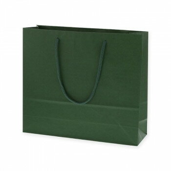 シモジマ HEIKO(ヘイコー) 005320111 カラーチャームバッグ 3才 グリーン 10枚【お寄せ品、返品キャンセル不可。欠品終売時連絡あり】