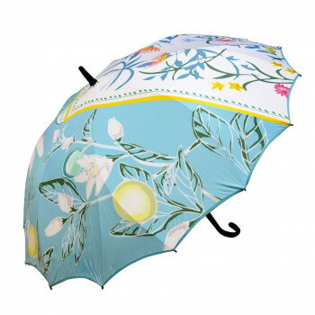 藤田屋 一枚張り長傘 花チーフ DA-2276【お寄せ品、返品キャンセル不可。欠品終売時連絡あり】 藤田屋 一枚張り長傘 花チーフ DA-2276【お寄せ品、返品キャンセル不可。欠品終売時連絡あり】
