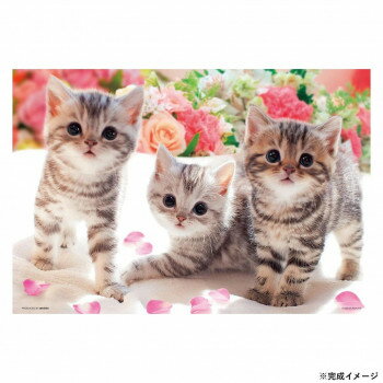 ӥХ꡼ ڥåȥѥ Ǥˤ 300ԡ P33-118ڤʡʥ󥻥ԲġʽϢ