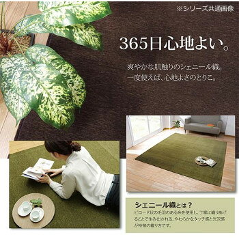 【直送品】シェニール織カーペット 『モデルノ』 グリーン 約200×250cm 4599339【お寄せ品、返品キャンセル不可。欠品終売時連絡あり】