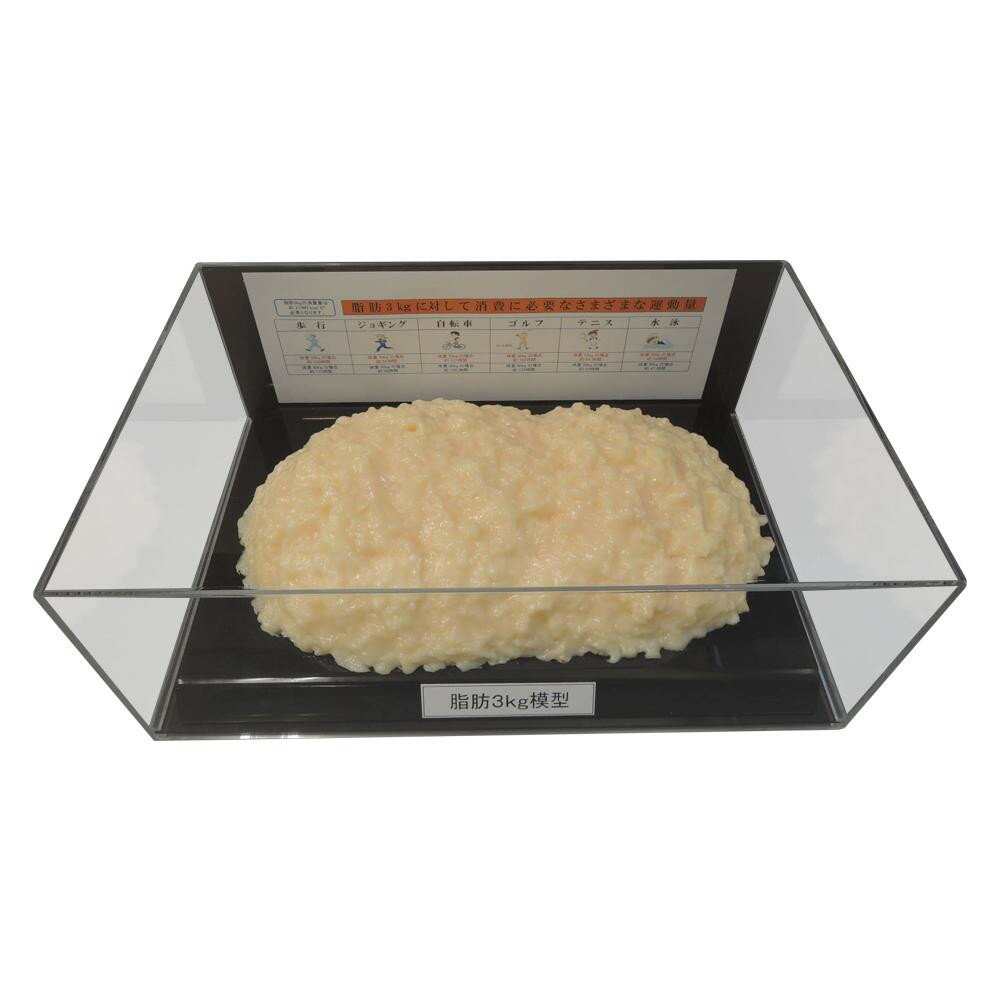 【直送品】脂肪模型フィギュアケース入 3kg IP-980【お寄せ品、返品キャンセル不可。欠品終売時連絡あり】