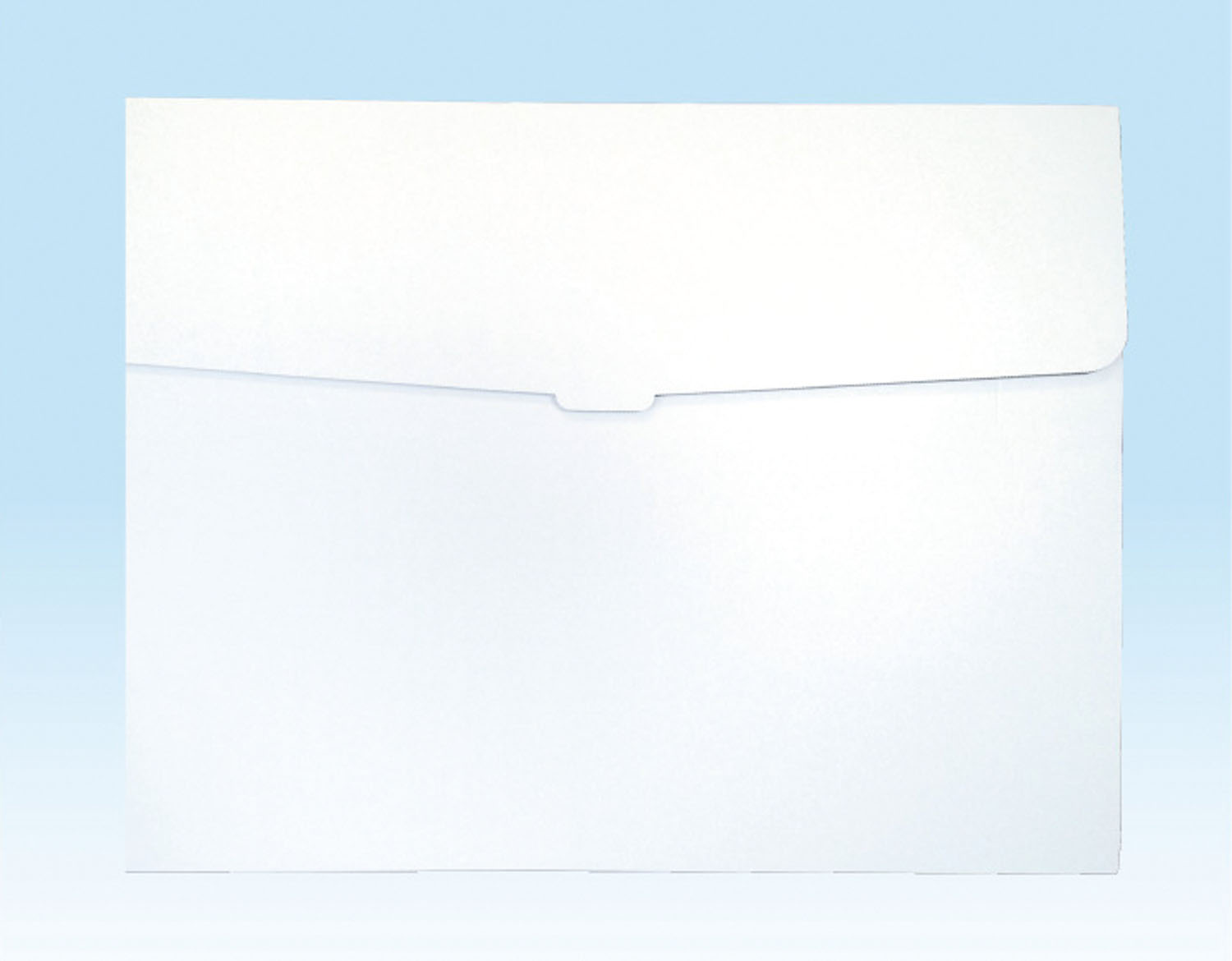 新 作品収納ケース 大 白無地×10個セット 【割引不可・寄せ品キャンセル返品不可】