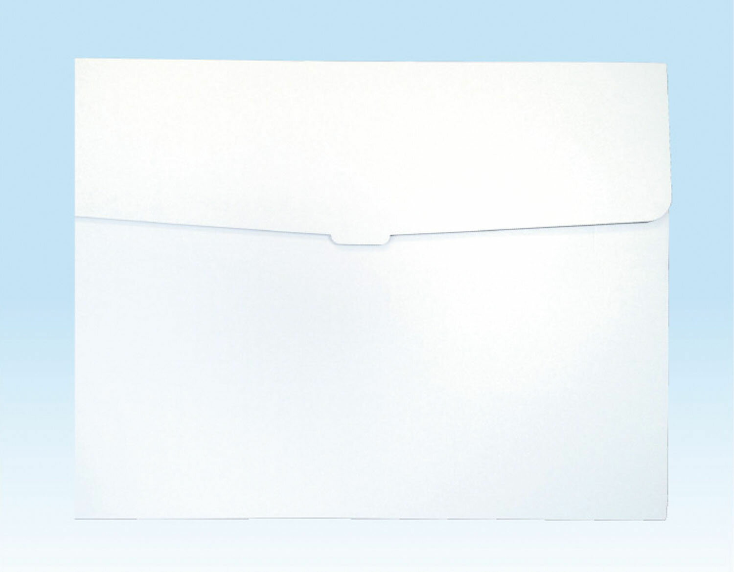 新 作品収納ケース 特大 白無地×10個セット 【割引不可・寄せ品キャンセル返品不可】