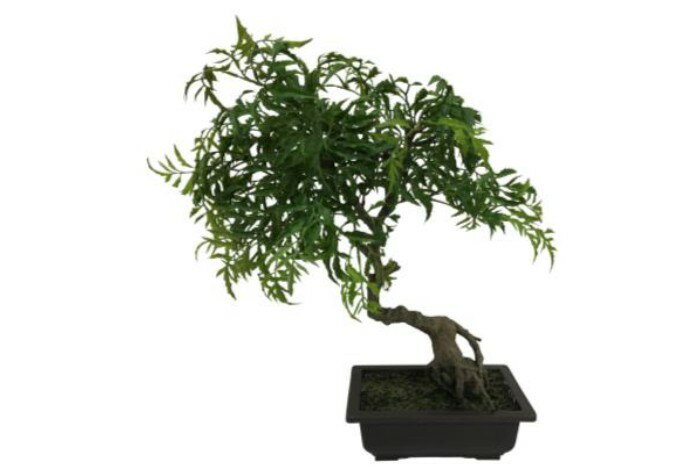 【直送品・大感謝価格 】植物インテリア しだれ紅葉 AT-55-014 W450×D350×H450 鉢W220×D160×H70 artificial bonsai