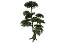 【直送品・大感謝価格 】植物インテリア AT-55-039 H1400 artificial bonsai