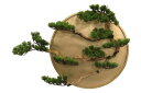 【メーカー直送・大感謝価格 】植物インテリア AT-55-026 φ500×D200 artificial bonsai