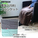 【大感謝価格】WETECH 洗える!持ち運べる! 電気(US...