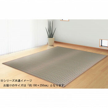 【直送品】茶染掛川織 アクセントラグ せせらぎ 約190×250cm TSN340849 グレイ【お寄せ品、返品キャンセル不可、割引不可品】