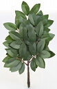 【直送品・大感謝価格 】榊 2本