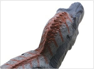 【直送品・大感謝価格 】羽毛ティラノサウルス ...の紹介画像3