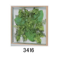 大感謝価格 薄型インテリアグリーン 3416 直送品。代引不可・同梱不可・返品キャンセル・割引不可 観葉植物 壁掛け ディスプレイ 額装 飾る 雑貨 グッズ 薄型インテリアグリーン 3416送料無料