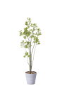 【直送品・大感謝価格 】光触媒人工植物 光の楽園 2018 ブランチツリー 1.7m 813A250 W50×D55×H170cm【鉢が変更になります(2022...