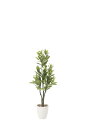 【直送品・大感謝価格 】光触媒人工植物 光の楽園 2018 レモン1.25 817A200 W50×D45×H125cm【別途送料が発生する場合あり・ラッピング...