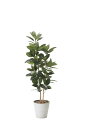 【直送品・大感謝価格 】光触媒人工植物 光の楽園 2018 ゴムノ木1.6 824A320 W58×D50×H160cm【鉢が変更になります(2022.06)】...