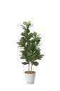 【直送品・大感謝価格 】光触媒人工植物 光の楽園 2018 カシワバゴム1.6 825A380 W65×D60×H160cm【鉢が変更になります(2022.06...