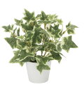 【直送品・大感謝価格 】光触媒人工植物 光の楽園 2018 斑入リアイビー 834A25 W22×D22×H23cm【別途送料が発生する場合あり・ラッピングは有料(不可の場合あり)】