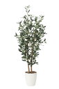 【直送品・大感謝価格 】光触媒人工植物 光の楽園 2018 オリーブ1.2 869A200 W48×D37×H120cm【別途送料が発生する場合あり・ラッピング...