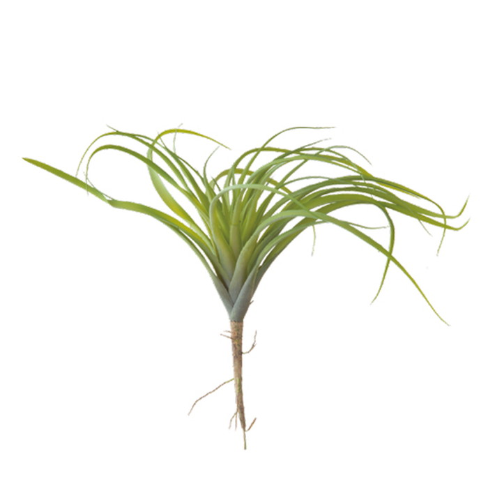 【2019-20 AUTUMN&WINTER NEW ITEM GREEN 291シリーズ】はコチラ エアープランツLL 80834 L26 2019-20 AUTUMN&WINTER NEW ITEM GREEN 291シリーズ インテリ...