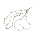 【直送品・個別送料発生 大感謝価格】コロラータス 80879 2個セット L98 2019-20 AUTUMN&WINTER NEW ITEM GREEN 29...