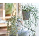 【2個セット】【直送品】グリーンネックレス 80911 L75 POSH LIVING 2022 Collection GREEN 291シリーズ【ヘルシ価格】...