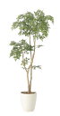 【直送品】タイワンモミジ1.3 2420A230 W55×D45×H130cm 光触媒人工植物 光の楽園 2024【割引不可品】インテリア 人工観葉植物 アート...