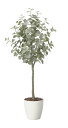 【直送品】ユーカリツリー1.65 2425A320 W60×D55×H165cm 光触媒人工植物 光の楽園 2024【割引不可品】インテリア 人工観葉植物 アー...