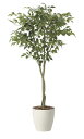 【直送品】フィカスツリー1.65 2435A290 W85×D80×H165cm 光触媒人工植物 光の楽園 2024【割引不可品】インテリア 人工観葉植物 アー...