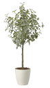 【直送品】ユーカリツリー1.85 組立式 2436A450 W80×D65×H185cm 光触媒人工植物 光の楽園 2024【割引不可品】インテリア 人工観葉植...