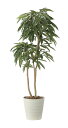 【直送品】アムステルラバーキング1.8 2440A500 W75×D70×H180cm 光触媒人工植物 光の楽園 2024【割引不可品】インテリア 人工観葉植物...
