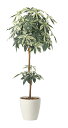 【直送品】ミルキーパキラ1.6 2456A330 W70×D60×H160cm 光触媒人工植物 光の楽園 2024【割引不可品】インテリア 人工観葉植物 アート...