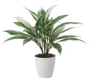 【直送品】ドラセナ 2459A50 W55×D55×H50cm 光触媒人工植物 光の楽園 2024【割引不可品】インテリア 人工観葉植物 アートフラワー ギフト 贈り物 花(4)