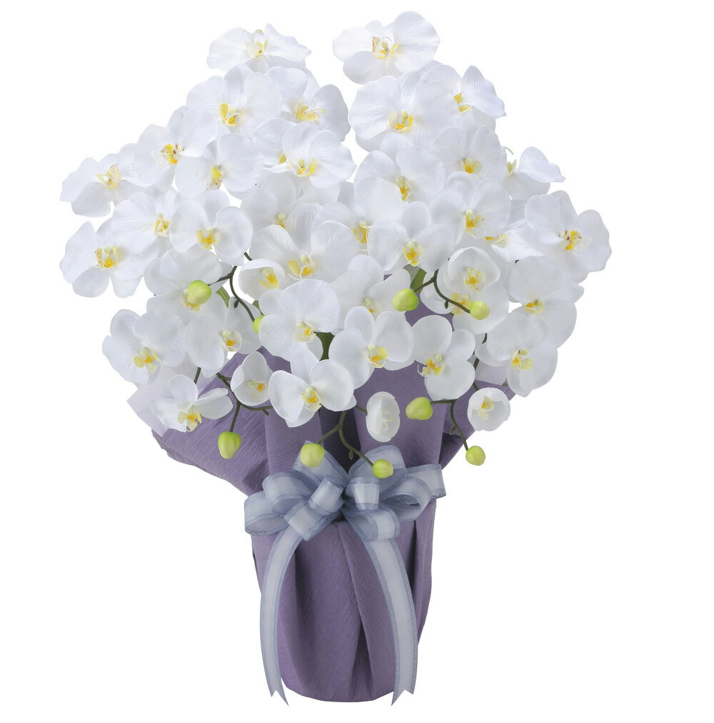 ľʡ۸ĳ ƣ5ΩW 2464A80 W50D35H64cm ޿͹ʪ γڱ 2024ڳԲʡۥƥꥢ ͹...
