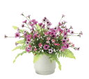 【直送品】ビューティーデージー 2470A38 W32×D26×H27cm 光触媒人工植物 光の楽園 2024【割引不可品】インテリア 人工観葉植物 アートフラ...