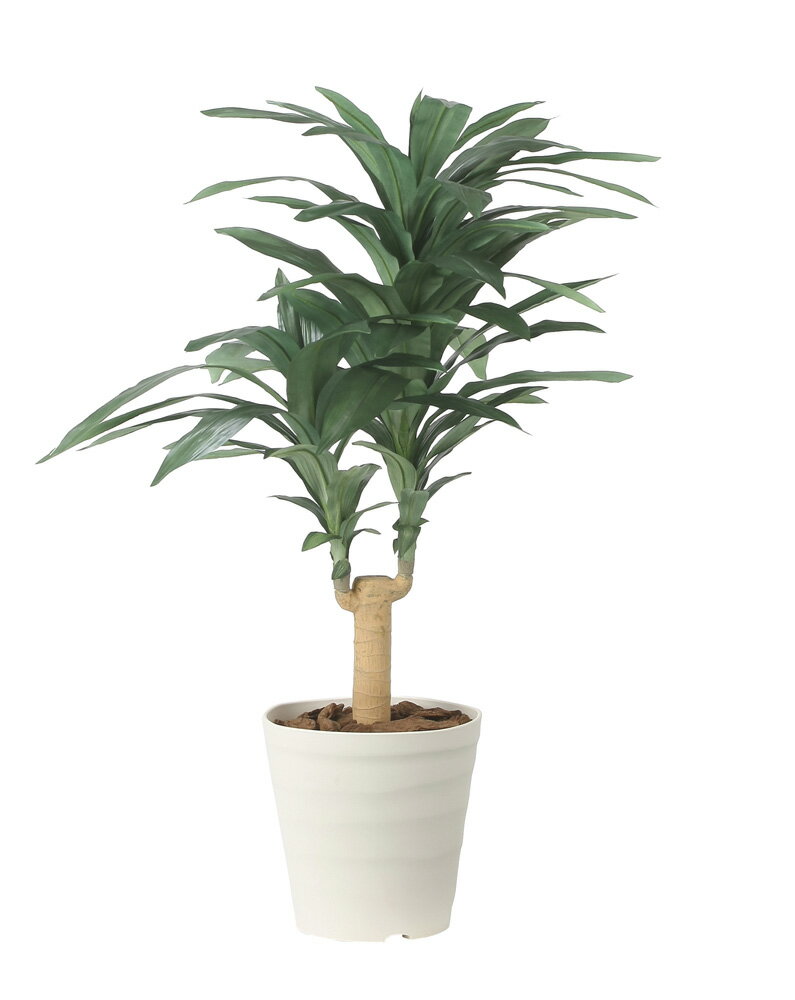 【直送品】ドラセナジャネット1.0 2492A150 W70×D60×H100cm 光触媒人工植物 光の楽園 2024【割引不可品】インテリア 人工観葉植物 アートフラワー ギフト 贈り物 花