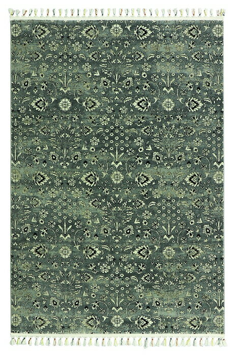 yizj[ANAz[ NEW AQUAHOME 50~80cm 70-RN8 H OC 2022 WORLD CARPET COLLECTION VOL.33ywVizCeA J[ybg }bg ~ O O~ イ