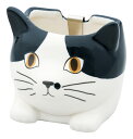 【直送品】ミニかやり ハチワレ/スコティッシュ/クロ P24-0851/P24-0852/P24-0853 SETO CRAFT 2024春夏 オリジナルカタロ...