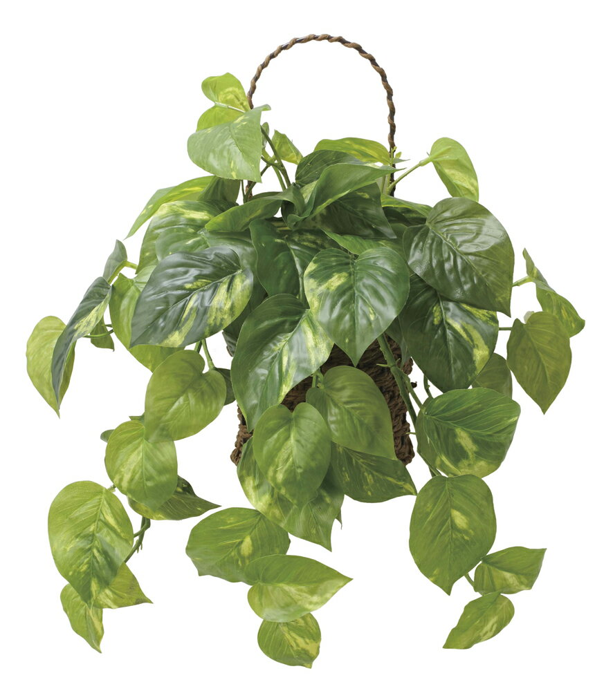 Pothos - 【直送品】壁掛けフレッシュポトス 2599A65 W38×D25×H40cm 光触媒人工植物 光の楽園 2025【割引不可品】インテリア 人工観葉植物 アートフラワー ギフト 贈り物 花