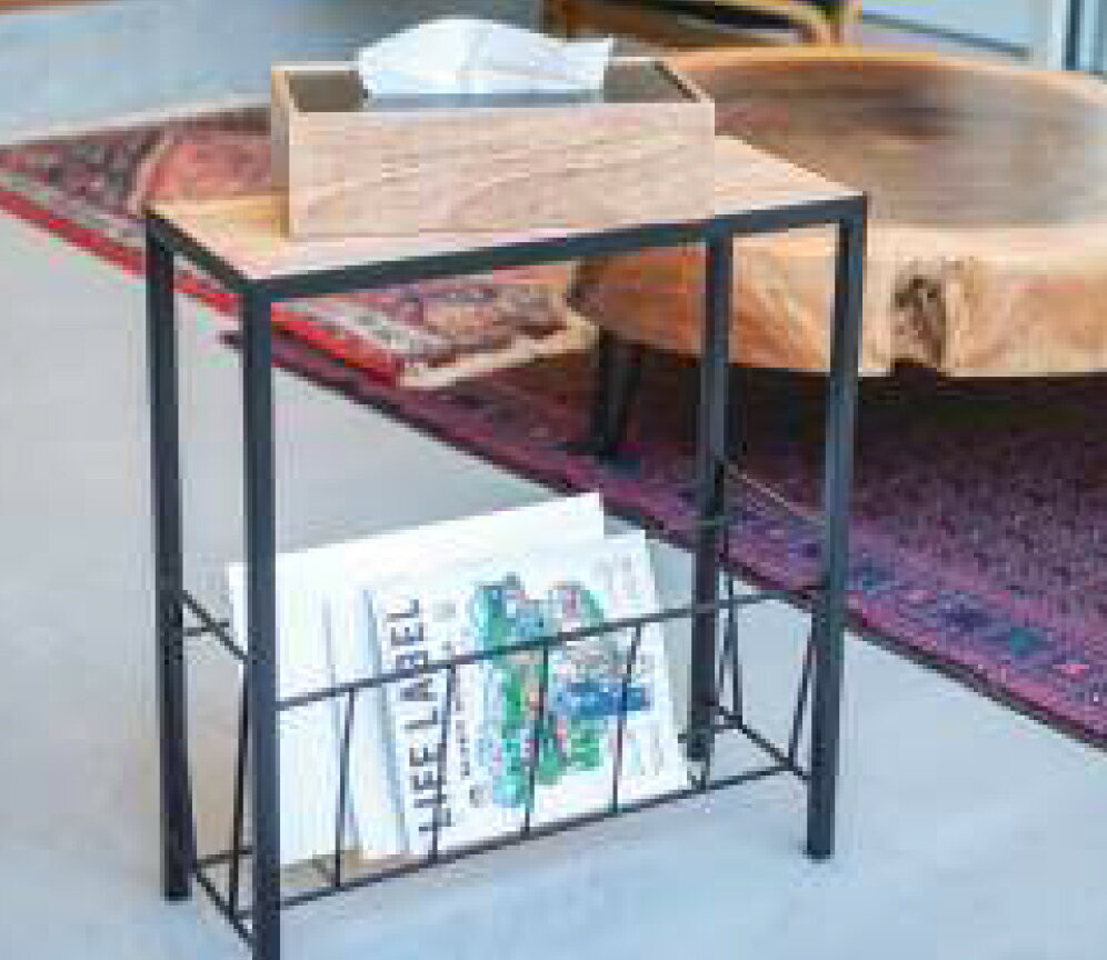 【直送品】マガジンラック 41325 W45×D18×H50 POSH LIVING 2024 Collection【ヘル...