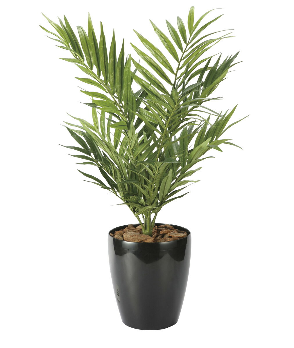 【直送品】パーラーパーム 2621A85 W40×D40×H70cm 4516744362602 光触媒 光の楽園 2026【割引不可品】..