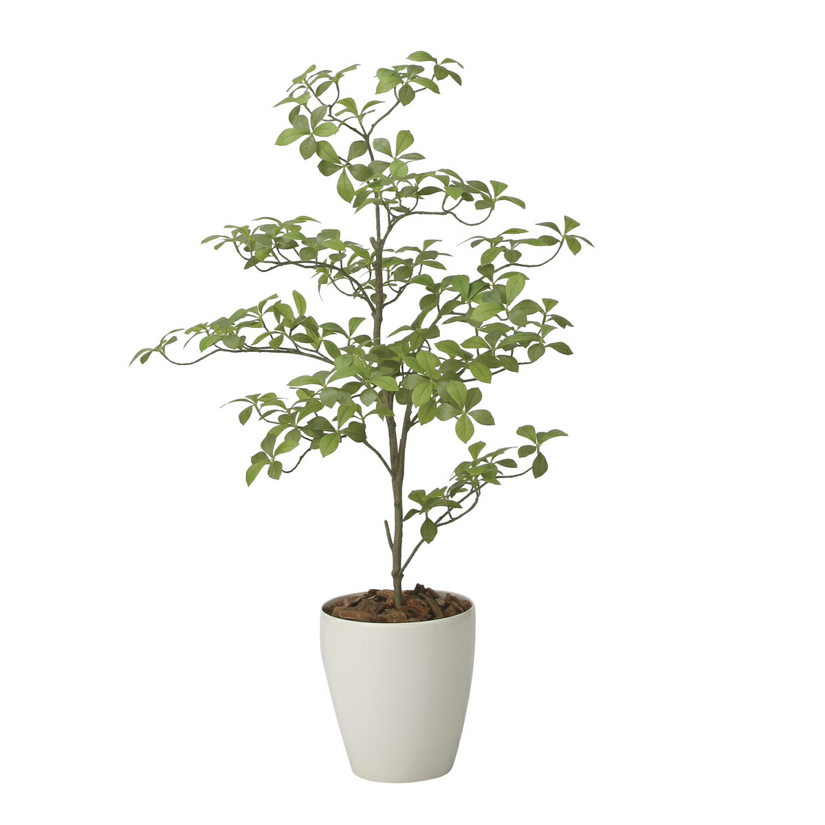 【直送品】アーモンドS1.0m 2633A250 W65×D62×H100cm 4516744362725 光触媒 光の楽園 2026【割引不可品..