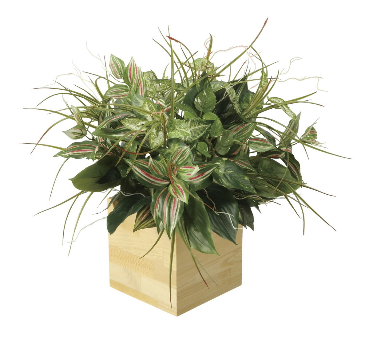 【直送品】ウッドボックスT 2635A165 W60×D50×H60cm 4516744362749 光触媒 光の楽園 2026【割引不可品..