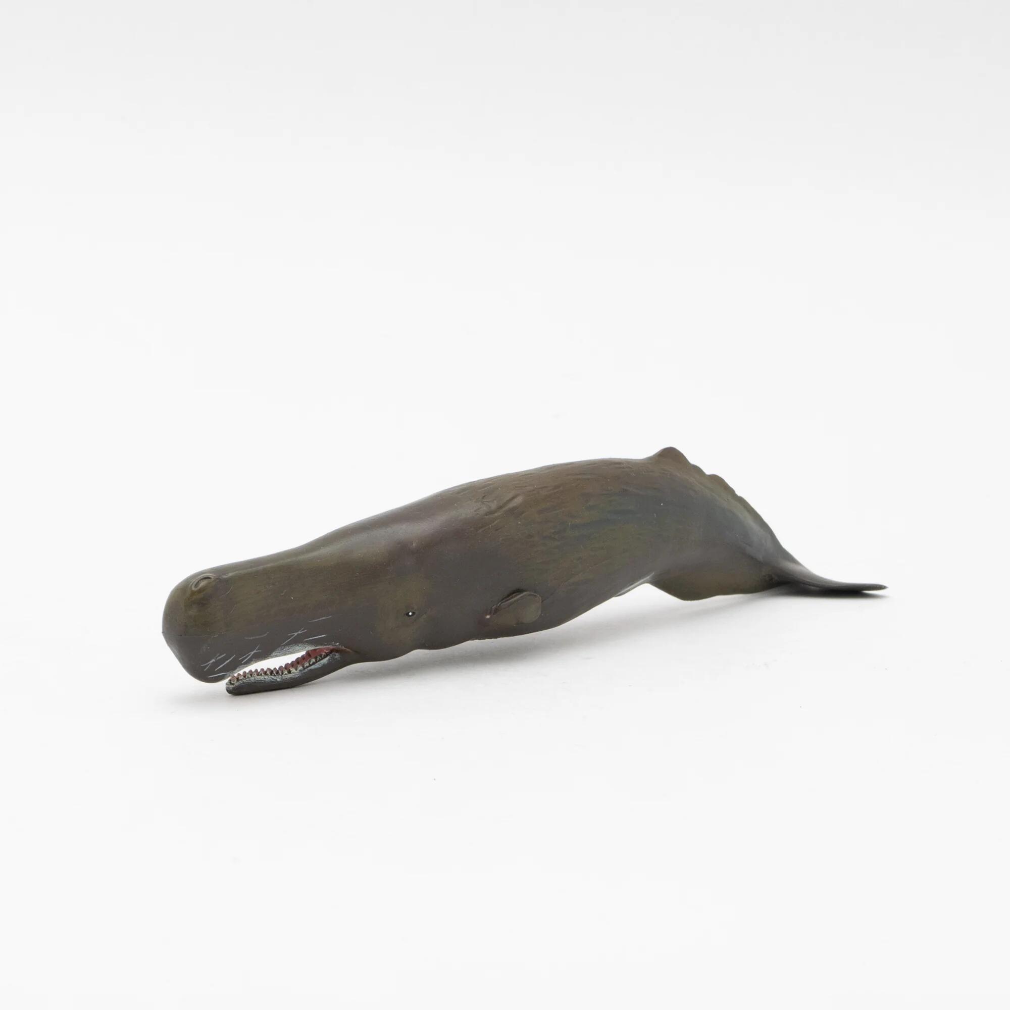 【直送品】マッコウクジラ ソフトモデル 70614 FM-904 4571279380156 L21×W4.2×H5.3cm ダイナソーモデルシリーズ【ヘルシ価格】おもちゃ 玩具 フィギュア 人形 恐竜 ダイナソー ホビー コレクション