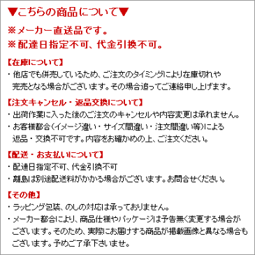 6個セット ガラスブロックガラス厚み80mmシューティングスター欠品終了あり。メーカー直送品。代引不可・同梱不可・返品キャンセル割引不可