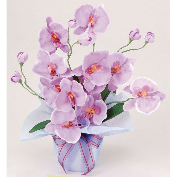 大感謝価格 光触媒ホットファレノ 3a2314-25 直送品。代引不可・同梱不可・返品キャンセル・割引不可 ..