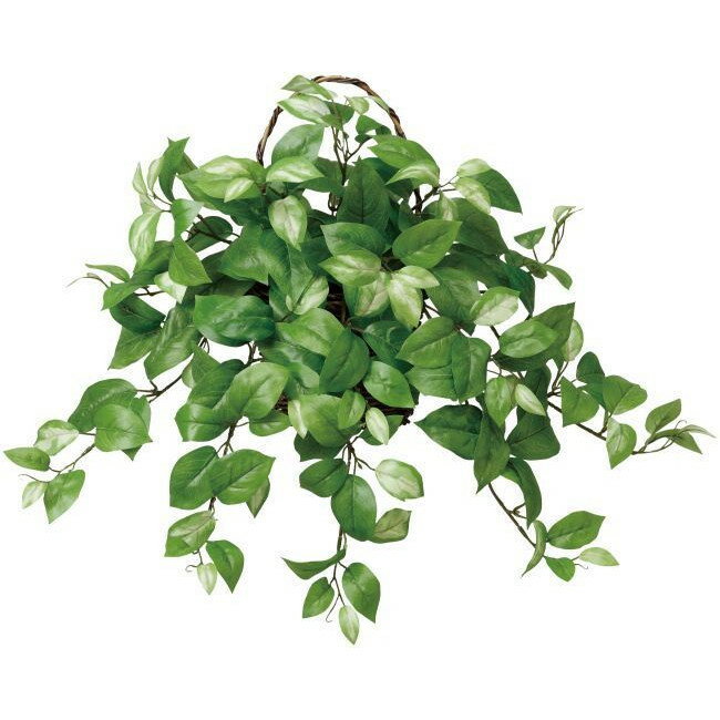 大感謝価格 壁掛ホヤ 3a5501-60 直送品。代引不可・同梱不可・返品キャンセル・割引不可 壁掛け・リー..